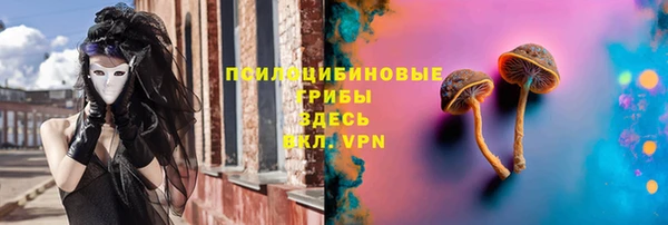 молекула духа Алексин