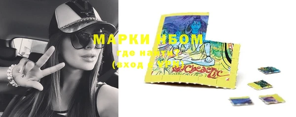 прущие грибы Алексеевка
