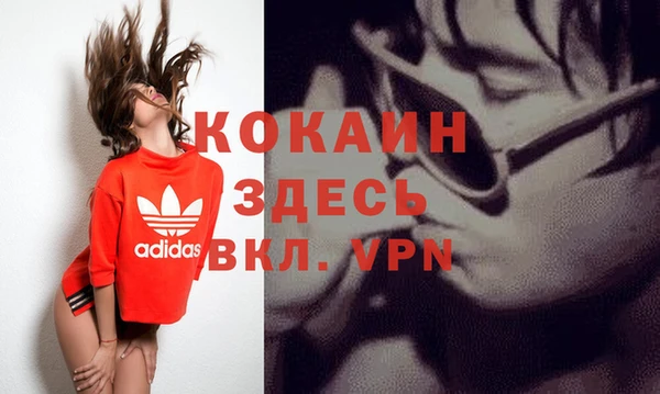 молекула духа Алексин