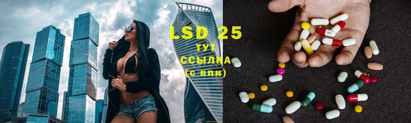 прущие грибы Алексеевка