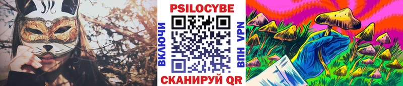 Галлюциногенные грибы Psilocybe Кизилюрт