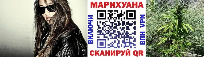 Конопля планчик где найти наркотики площадка телеграм Кизилюрт